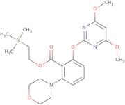 N4-Benzoyl-2'-O-tert-butyldimethylsilylcytidine