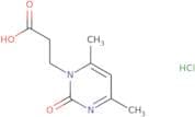 3-(4,6-Dimethyl-2-oxo-1,2-dihydropyrimidin-1-yl)propanoic acid hydrochloride