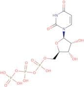 Uridine 5'-triphosphate