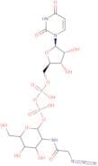 UDP-N-azidoacetylglucosamine