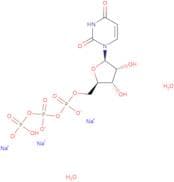 Uridine 5'-triphosphate dihydrate trisodium salt