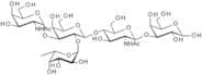 Blood group A pentasaccharide type II