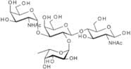 Blood Group A tetrasaccharide type II