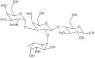 Blood Group A tetrasaccharide type V