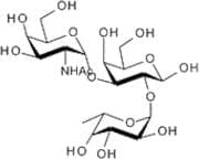Blood Group A trisaccharide
