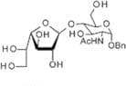Benzyl 2-acetamido-2-deoxy-4-O-(b-D-galactofuranosyl)-a-D-glucopyranoside