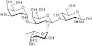 Blood Group B type I tetrasaccharide