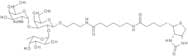 Blood Group A trisaccharide, spacer-biotin conjugate