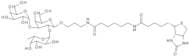 Blood Group B trisaccharide, spacer-biotin conjugate