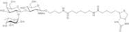 Blood Group H type II trisaccharide, spacer-biotin conjugate
