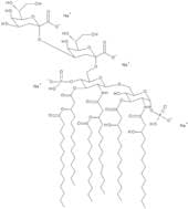Di[3-deoxy-D-manno-octulosonyl]-lipid A sodium salt - 0.5mg/ml aqueous solution