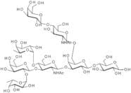 Difucosyllacto-N-hexaose (c)