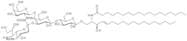 GM2-Ganglioside