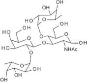 Lewis B tetrasaccharide