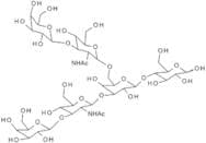 Lacto-N-hexaose