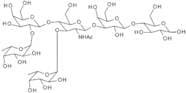 Lewis Y hexasaccharide