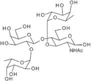 Lewis Y tetrasaccharide