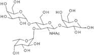 Lewis X tetrasaccharide