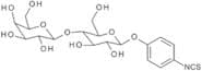 β-Lactopyranosyl phenylisothiocyanate