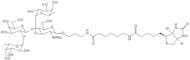 Lewis Y tetrasaccharide-sp-biotin
