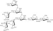 Man-6 N-Glycan