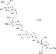 Stachyose hydrate - 98%