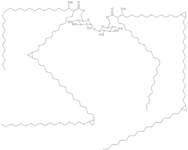 Trehalose 6,6'-dimycolate