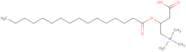 Palmitoyl-DL-carnitine