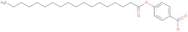 4-Nitrophenyl stearate