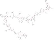 Apelin-36 (Human)