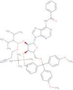 N6-Benzoyl-3'-O-tert-butyldimethylsilyl-5'-O-DMT-adenosine 2'-CE phosphoramidite