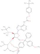 2'-O-tert-Butyldimethylsilyl-N6-(tert-butylphenoxyacetyl)-5'-O-DMT-adenosine 3'-CE phosphoramidite