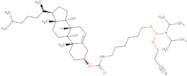 Cholest-5-en-3-ol, 3-(6-(((2-cyanoethoxy)(diisopropylamino)phosphino)oxy)hexyl)carbemate