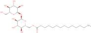 Trehalose 6-tetradecanoate