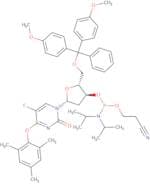 2'-Deoxy-5'-O-DMT-5-fluoro-O4-(2,4,6-trimethylphenyl)uridine 3'-CE phosphoramidite