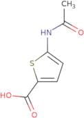 5-Acetamidothiophene-2-carboxylic acid