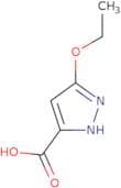 5-Ethoxy-1H-pyrazole-3-carboxylic acid