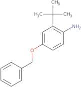 3-[5-(4-Fluorophenyl)-1,2,4-oxadiazol-3-yl]-6-methoxy-2(1H)-quinolinone