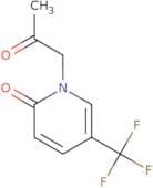 1-(2-Oxopropyl)-5-(trifluoromethyl)-1,2-dihydropyridin-2-one