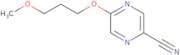 5-(3-Methoxypropoxy)pyrazine-2-carbonitrile