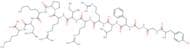 Dynorphin A (Human, 1-13)