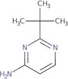2-Tert-butylpyrimidin-4-amine