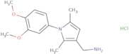 [1-(3,4-Dimethoxyphenyl)-2,5-dimethyl-1H-pyrrol-3-yl]methanamine hydrochloride