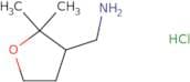 (2,2-Dimethyloxolan-3-yl)methanamine hydrochloride