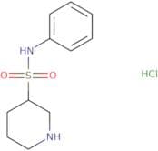 N-Phenylpiperidine-3-sulfonamide hydrochloride