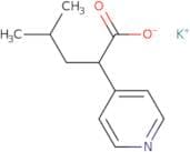 Potassium 4-methyl-2-(pyridin-4-yl)pentanoate