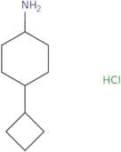 4-Cyclobutylcyclohexan-1-amine hydrochloride