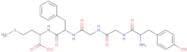 Methionine-Enkephalin (Human, Porcine, Bovine, Rat, Mouse)