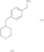 4-Morpholin-4-ylmethyl-benzylamine dihydrochloride