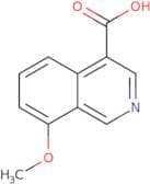 8-Methoxyisoquinoline-4-carboxylic acid